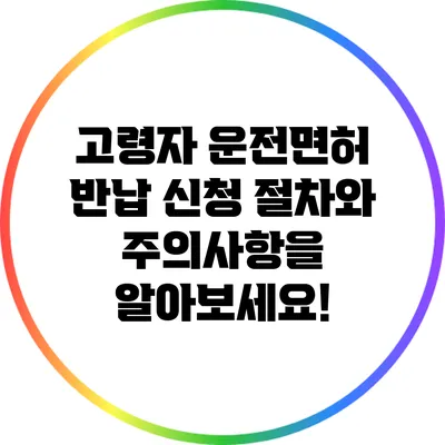 고령자 운전면허 반납 신청 절차와 주의사항을 알아보세요!