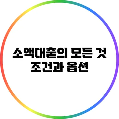 소액대출의 모든 것: 조건과 옵션