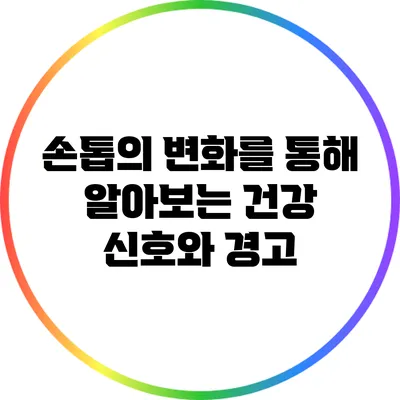 손톱의 변화를 통해 알아보는 건강 신호와 경고
