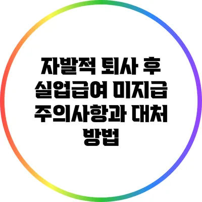 자발적 퇴사 후 실업급여 미지급 주의사항과 대처 방법