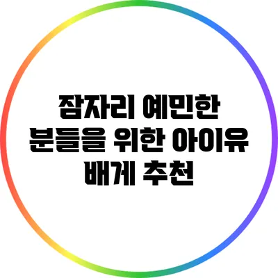 잠자리 예민한 분들을 위한 아이유 배게 추천
