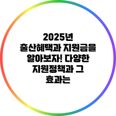 2025년 출산혜택과 지원금을 알아보자! 다양한 지원정책과 그 효과는?
