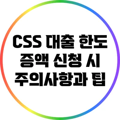 CSS 대출 한도 증액 신청 시 주의사항과 팁
