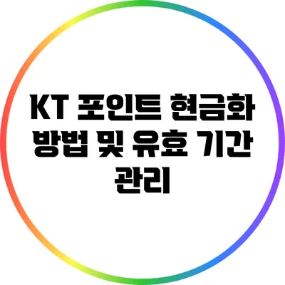 KT 포인트 현금화 방법 및 유효 기간 관리