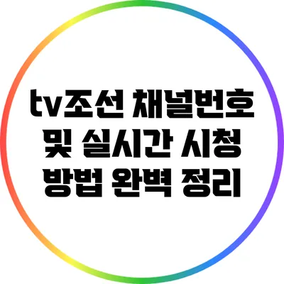 tv조선 채널번호 및 실시간 시청 방법 완벽 정리
