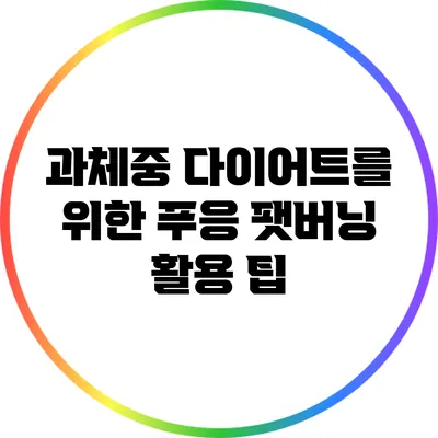 과체중 다이어트를 위한 푸응 팻버닝 활용 팁