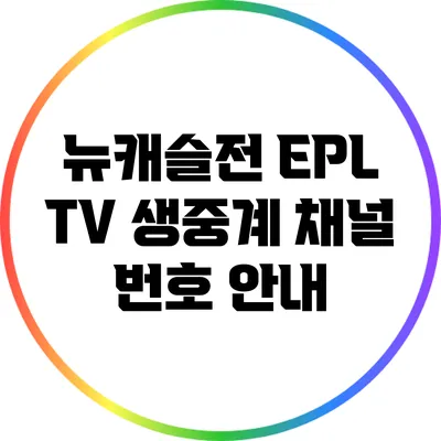 뉴캐슬전 EPL TV 생중계 채널 번호 안내