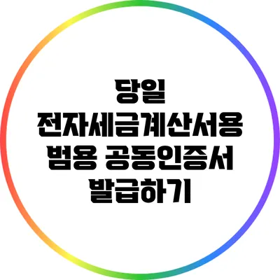 당일 전자세금계산서용 범용 공동인증서 발급하기