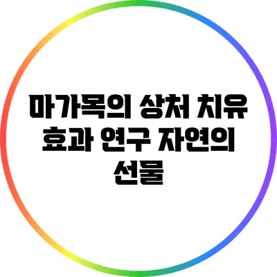 마가목의 상처 치유 효과 연구: 자연의 선물