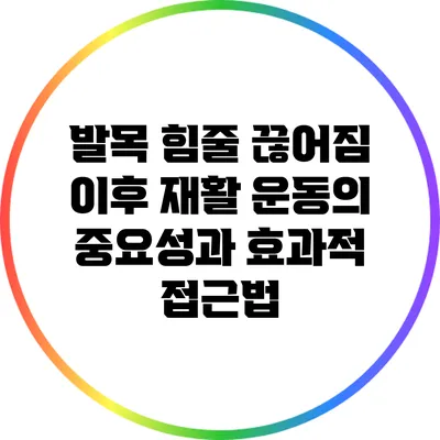 발목 힘줄 끊어짐 이후 재활 운동의 중요성과 효과적 접근법