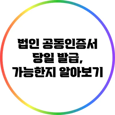 법인 공동인증서 당일 발급, 가능한지 알아보기