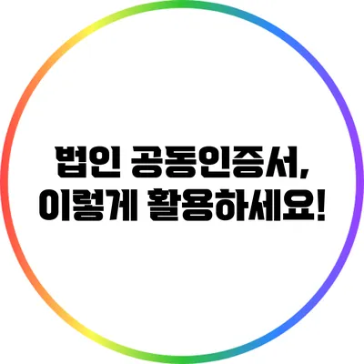 법인 공동인증서, 이렇게 활용하세요!