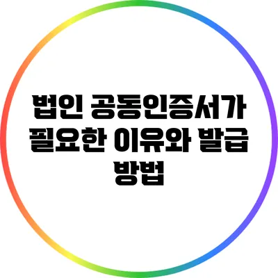 법인 공동인증서가 필요한 이유와 발급 방법