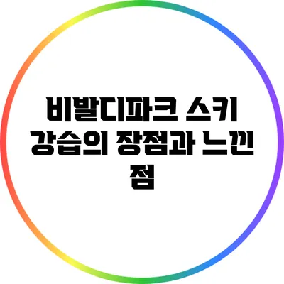 비발디파크 스키 강습의 장점과 느낀 점