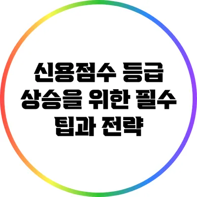 신용점수 등급 상승을 위한 필수 팁과 전략