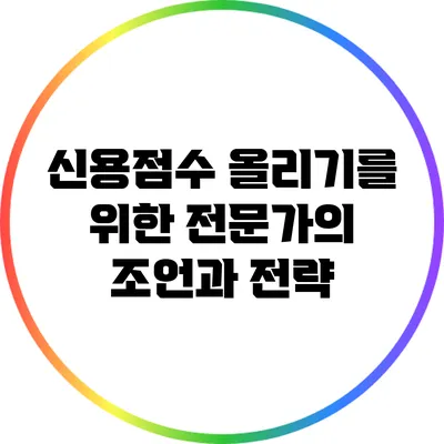 신용점수 올리기를 위한 전문가의 조언과 전략