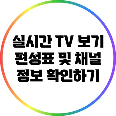 실시간 TV 보기 | 편성표 및 채널 정보 확인하기