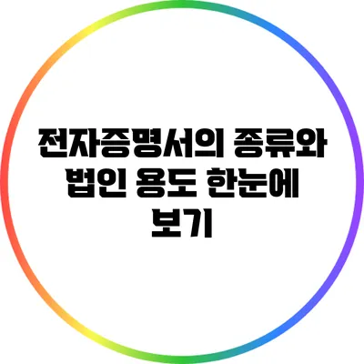 전자증명서의 종류와 법인 용도 한눈에 보기