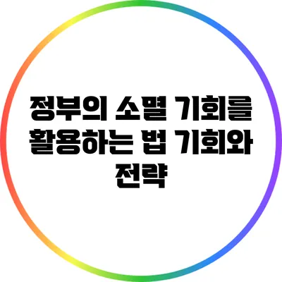 정부의 소멸 기회를 활용하는 법: 기회와 전략