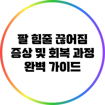 팔 힘줄 끊어짐 증상 및 회복 과정 완벽 가이드