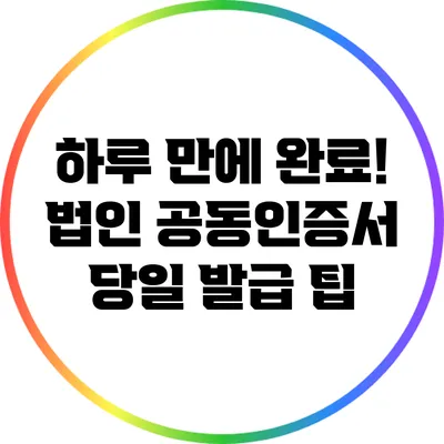 하루 만에 완료! 법인 공동인증서 당일 발급 팁