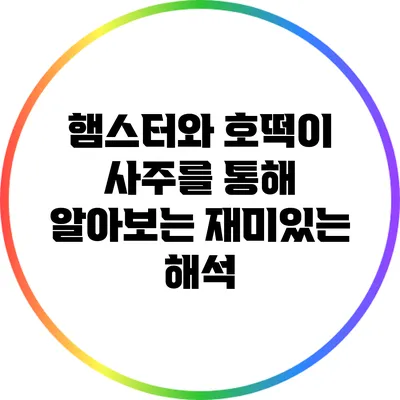 햄스터와 호떡이 사주를 통해 알아보는 재미있는 해석