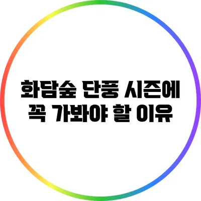 화담숲 단풍 시즌에 꼭 가봐야 할 이유