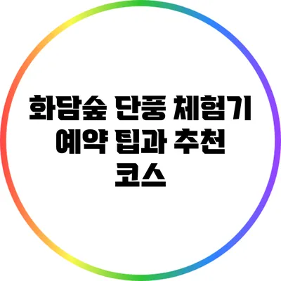 화담숲 단풍 체험기: 예약 팁과 추천 코스