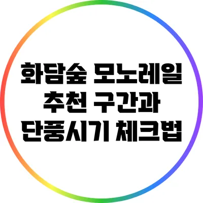 화담숲 모노레일 추천 구간과 단풍시기 체크법