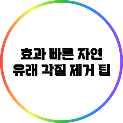 효과 빠른 자연 유래 각질 제거 팁