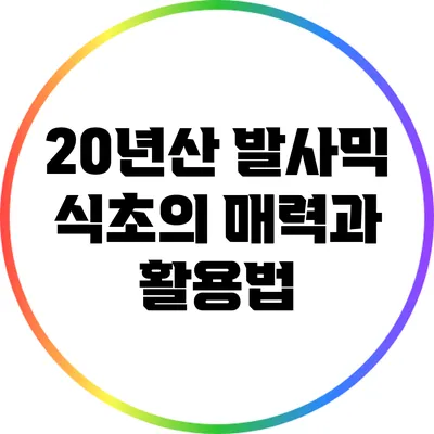 20년산 발사믹 식초의 매력과 활용법