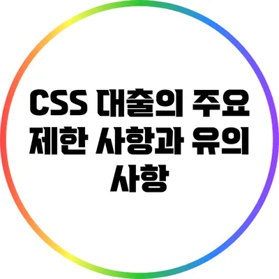 CSS 대출의 주요 제한 사항과 유의 사항