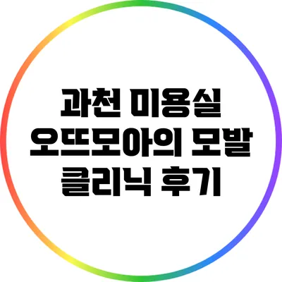 과천 미용실 오뜨모아의 모발 클리닉 후기