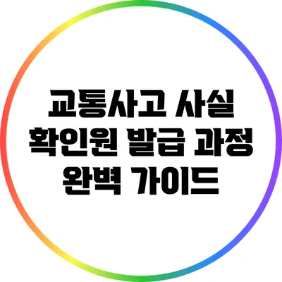 교통사고 사실 확인원 발급 과정 완벽 가이드