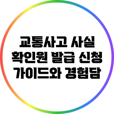 교통사고 사실 확인원 발급 신청 가이드와 경험담