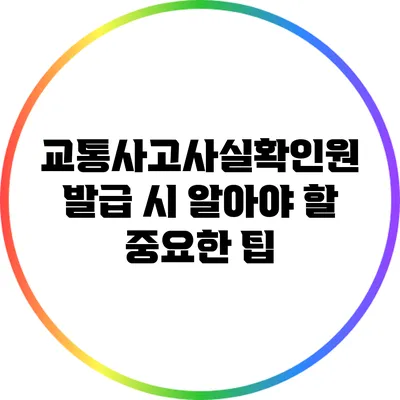 교통사고사실확인원 발급 시 알아야 할 중요한 팁
