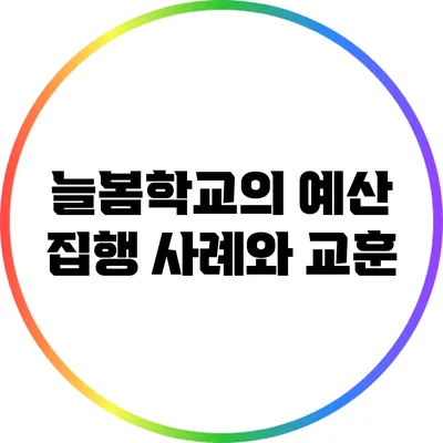 늘봄학교의 예산 집행 사례와 교훈