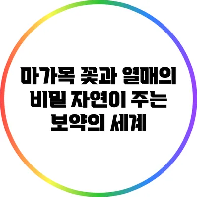 마가목 꽃과 열매의 비밀: 자연이 주는 보약의 세계