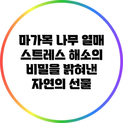 마가목 나무 열매: 스트레스 해소의 비밀을 밝혀낸 자연의 선물