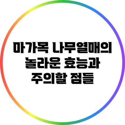 마가목 나무열매의 놀라운 효능과 주의할 점들