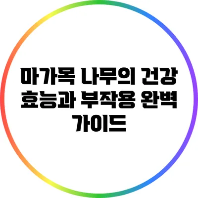 마가목 나무의 건강 효능과 부작용: 완벽 가이드