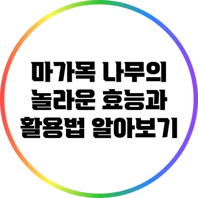 마가목 나무의 놀라운 효능과 활용법 알아보기