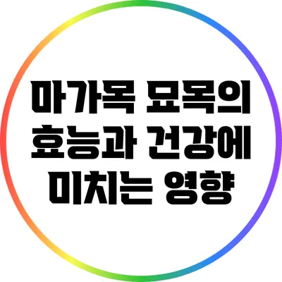 마가목 묘목의 효능과 건강에 미치는 영향