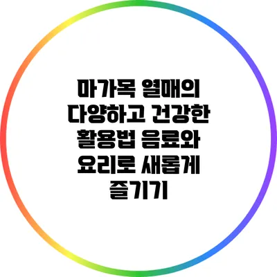 마가목 열매의 다양하고 건강한 활용법: 음료와 요리로 새롭게 즐기기