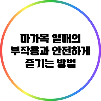 마가목 열매의 부작용과 안전하게 즐기는 방법