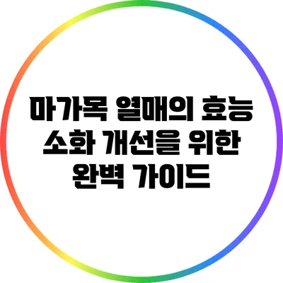 마가목 열매의 효능: 소화 개선을 위한 완벽 가이드
