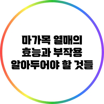 마가목 열매의 효능과 부작용: 알아두어야 할 것들