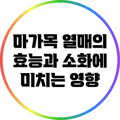 마가목 열매의 효능과 소화에 미치는 영향