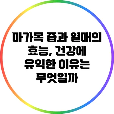 마가목 즙과 열매의 효능, 건강에 유익한 이유는 무엇일까?