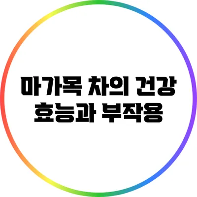 마가목 차의 건강 효능과 부작용
